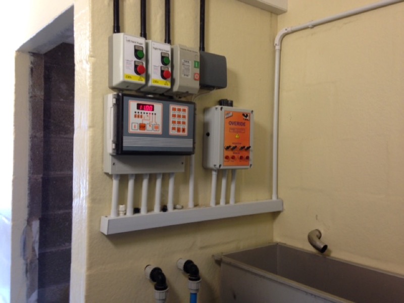 Automatic plant washer